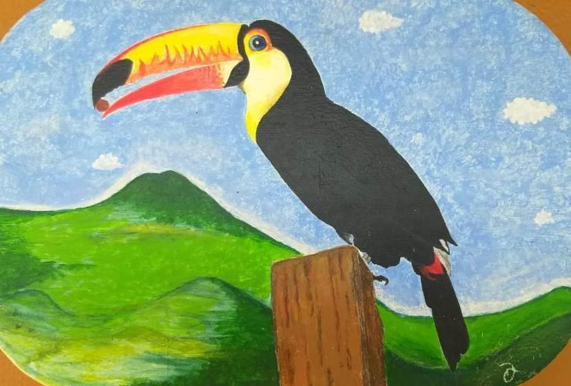 Encantos Do Cerrado
