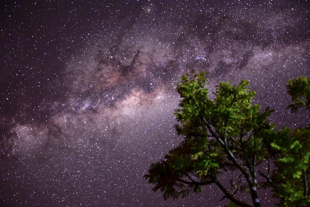 Inn Encantos Do Cerrado *